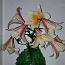 Лилии высокорослые- клубни (фото #1)