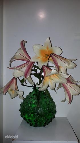 Лилии высокорослые- клубни (фото #1)