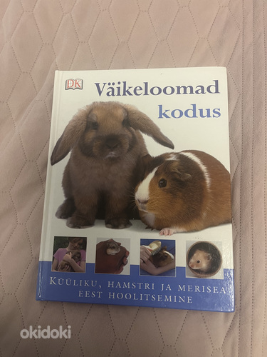 Маленькие животные дома