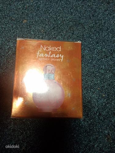 Britney Spears naked fantasy