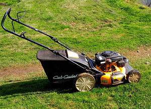 Cub Cadet muruniiduk (1 foto / 4)