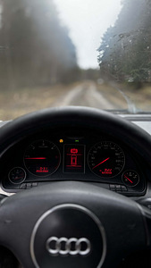 Audi A4 (9 foto / 9)