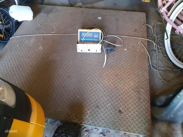 Electr.kaalud. Elektroonilised kaalud.