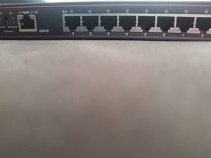 Gigabyte Diewu 8-pordiline kommutaator (4 foto / 4)