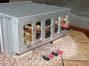 YBA Passion A650 Power Amplifier 2 x 200 W, Alpha® Class-A (7 foto / 10)