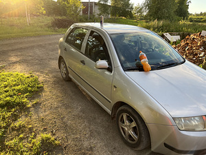 Skoda fabia (6 фото из 7)