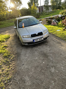 Skoda fabia (7 фото из 7)