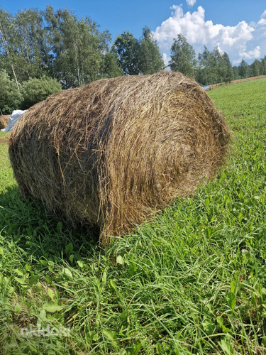 Сеновалы