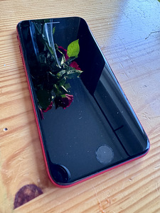 iPhone SE (2022) (4 фото из 6)