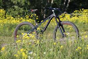 NS Eccentric EVO 27.5 CUSTOM (3 фото из 4)