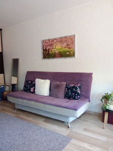 Kalevi tn 36, Järve, Kohtla-Järve, Ida-Virumaa (2 foto / 12)
