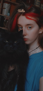 Котята мейн куна (1 фото из 10)