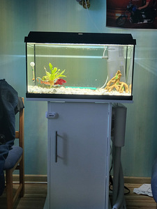 Akvaarium juwel primo 60 (6 foto / 6)