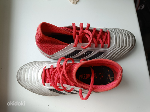 Jalgpalli tossud Adidas Predator (suurus 36, 2/3, 23cm)