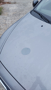 Volvo C30 1.6td (5 foto / 8)