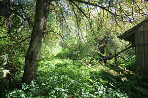 Polli tee 1, Halliste, Mulgi vald, Viljandimaa (6 foto / 10)