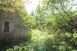 Polli tee 1, Halliste, Mulgi vald, Viljandimaa (6 foto / 10)