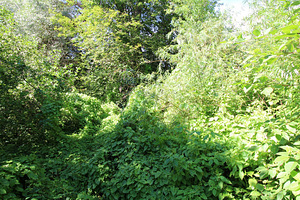 Polli tee 1, Halliste, Mulgi vald, Viljandimaa (10 foto / 10)
