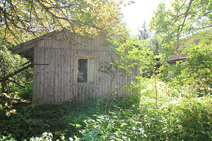 Polli tee 1, Halliste, Mulgi vald, Viljandimaa (3 foto / 10)