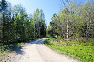 Vahtra, Vetla, Anija vald, Harjumaa (8 foto / 10)