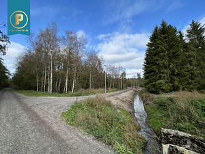 Taavi tee 1, Naage, Harku vald, Harjumaa (4 foto / 5)