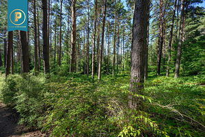 Lepiku tee 28b, Pirita, Tallinn, Harjumaa (5 foto / 10)