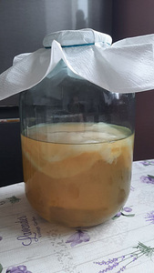 Jun kombucha / Juni teeseen / Jun teeseen