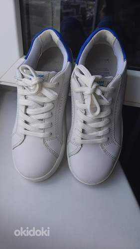 GEOX tossud, 31