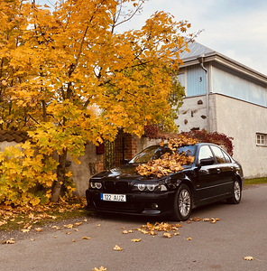 BMW E39 530D 2001, 2001