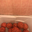 Продам баскетбольные мячи Umbro (фото #1)