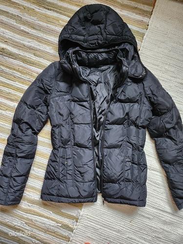 Куртка Calvin Klein ,S size (originaal) (фото #1)