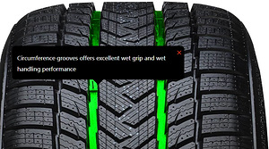 255/35-R21 Gripmax Suregrip Pro Winter (5 foto / 6)
