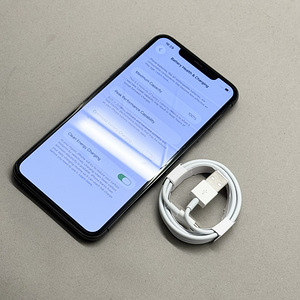 Apple iPhone 11 Pro Max, 256GB, Space Gray (Аккумулятор 100% (1 фото из 3)