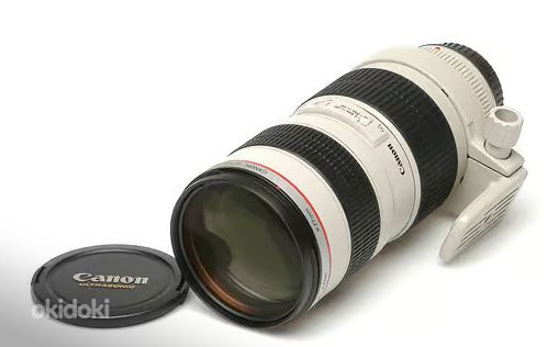 Canon EF 70 - 200mm F2.8 L USM