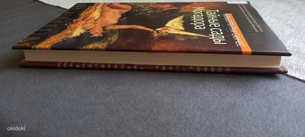 Книга Санчес Тайные сады Могадора (фото #2)