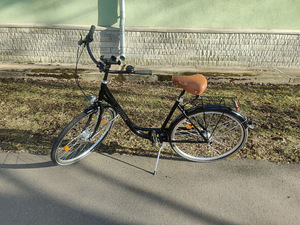Excelsior Road Cruiser 28-дюймовый (1 фото из 10)