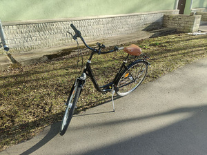 Excelsior Road Cruiser 28-дюймовый (4 фото из 10)