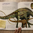 Такие разные динозавры (фото #4)