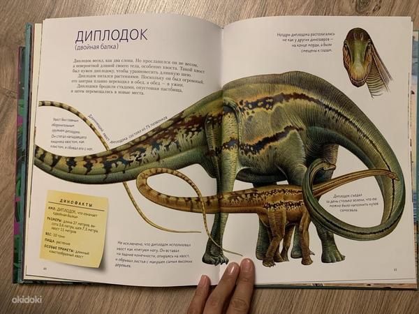 Такие разные динозавры (фото #4)