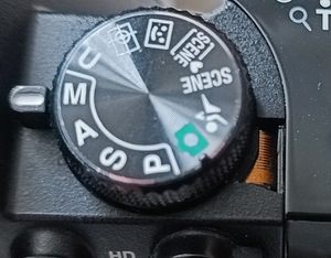Nikon p100 (8 фото из 8)