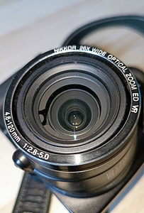Nikon p100 (7 фото из 8)