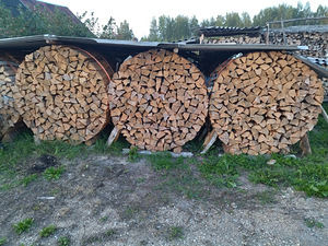 Küttepuu. Haab. 40cm.