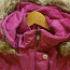 Зимнее пальто для девочки (фото #2)