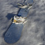 Сноуборд option Lumelaua valik Snowboard option (фото #5)