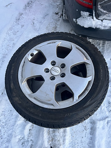 Müüa Audi veljed koos naastrehvidega (2 foto / 4)