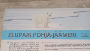 Tallinna ZOO ekskursioon (9 foto / 10)