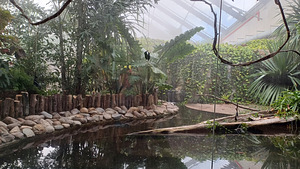 Tallinna ZOO ekskursioon (10 foto / 10)