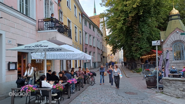 Vanalinna ekskursioon - Tallinn piltidel (foto #2)