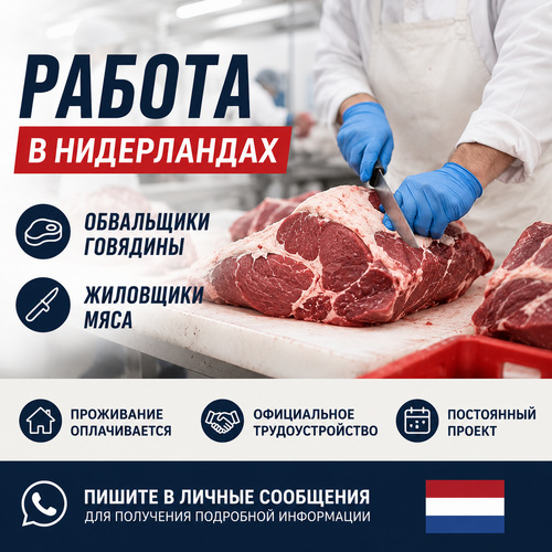 Veiseliha lõikajad