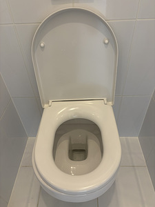 Gustavsberg WC + loputusnupp (2 foto / 6)